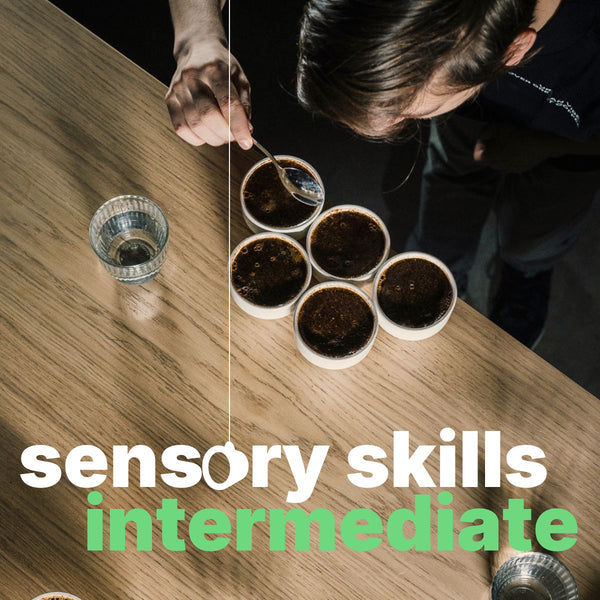 SENSORY SKILLS INTERMEDIATE